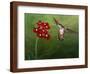 Hummer and Red Flowers-Julie Peterson-Framed Art Print