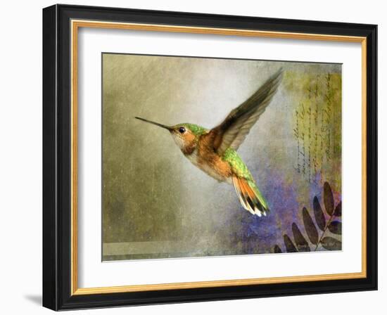 Hummer Flight-Chris Vest-Framed Art Print