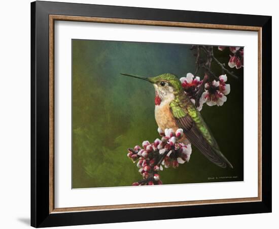 Hummer with Blossoms-Chris Vest-Framed Art Print