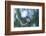 Hummer-Nancy Crowell-Framed Photographic Print