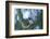 Hummer-Nancy Crowell-Framed Photographic Print