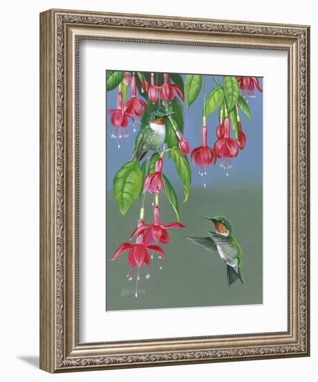 Hummers and Fuchsia-Fred Szatkowski-Framed Art Print