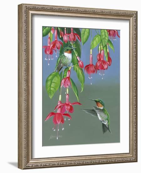 Hummers and Fuchsia-Fred Szatkowski-Framed Art Print