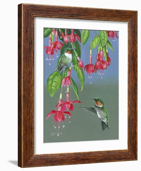 Hummers and Fuchsia-Fred Szatkowski-Framed Art Print