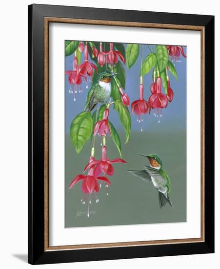 Hummers and Fuchsia-Fred Szatkowski-Framed Art Print