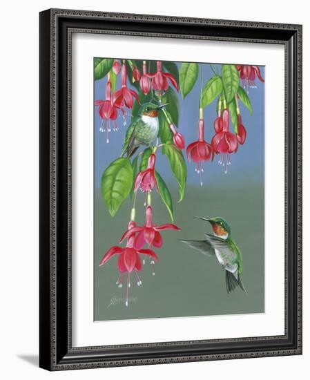 Hummers and Fuchsia-Fred Szatkowski-Framed Art Print