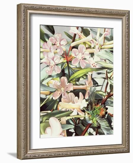 Humming Bird, 1989-Sandra Lawrence-Framed Giclee Print