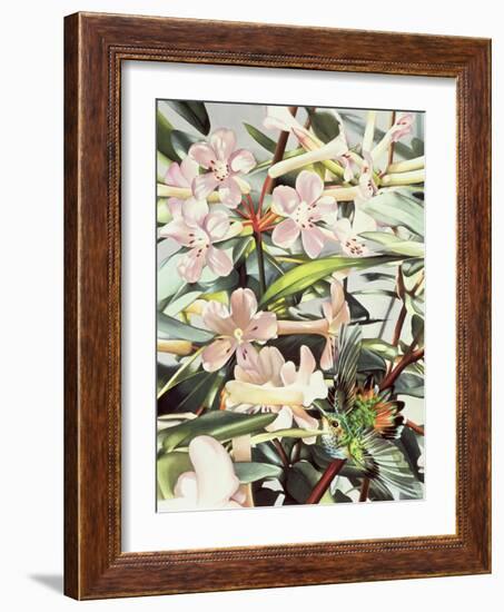 Humming Bird, 1989-Sandra Lawrence-Framed Giclee Print