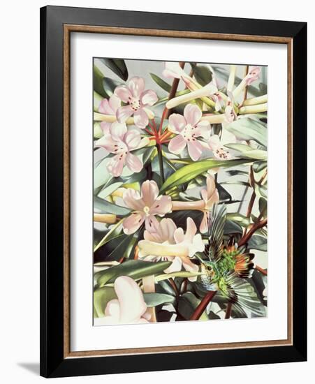 Humming Bird, 1989-Sandra Lawrence-Framed Giclee Print