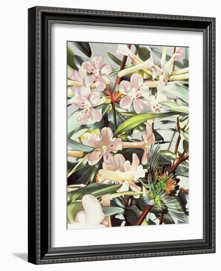 Humming Bird, 1989-Sandra Lawrence-Framed Giclee Print