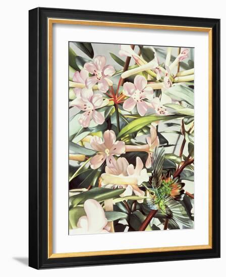 Humming Bird, 1989-Sandra Lawrence-Framed Giclee Print