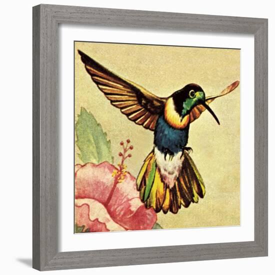 Humming Bird-English School-Framed Giclee Print