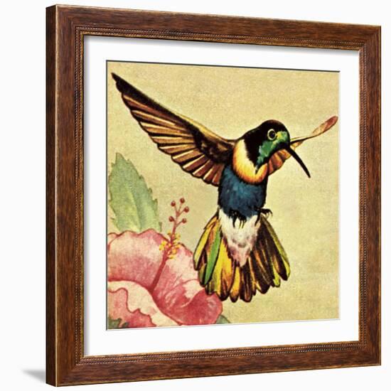 Humming Bird-English School-Framed Giclee Print