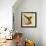 Humming Bird-English School-Framed Giclee Print displayed on a wall