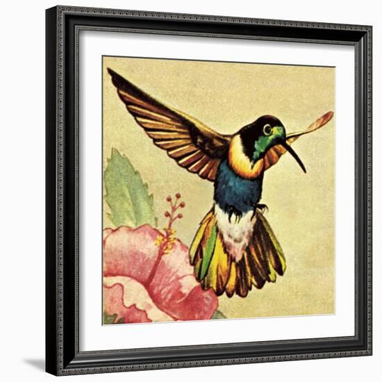 Humming Bird-English School-Framed Giclee Print