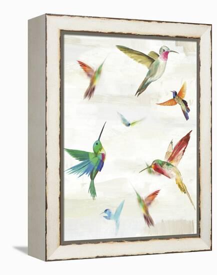 Humming I-Aimee Wilson-Framed Stretched Canvas