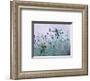Humming Lavender-Julie Peterson-Framed Art Print