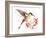 Hummingbird 13-Suren Nersisyan-Framed Art Print