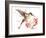 Hummingbird 13-Suren Nersisyan-Framed Art Print