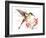 Hummingbird 13-Suren Nersisyan-Framed Art Print