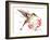 Hummingbird 13-Suren Nersisyan-Framed Art Print