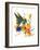 Hummingbird 6-Suren Nersisyan-Framed Art Print