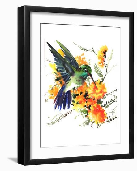 Hummingbird 6-Suren Nersisyan-Framed Art Print