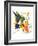 Hummingbird 6-Suren Nersisyan-Framed Art Print