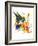 Hummingbird 6-Suren Nersisyan-Framed Art Print