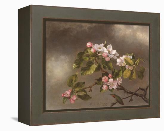 Hummingbird and Apple Blossoms, 1875-Martin Johnson Heade-Framed Premier Image Canvas