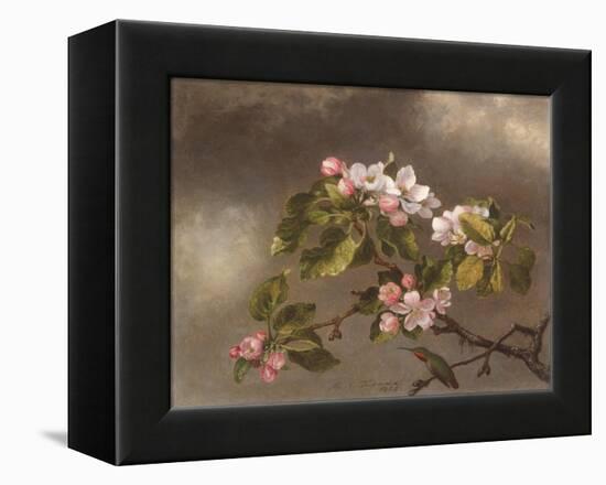 Hummingbird and Apple Blossoms, 1875-Martin Johnson Heade-Framed Premier Image Canvas