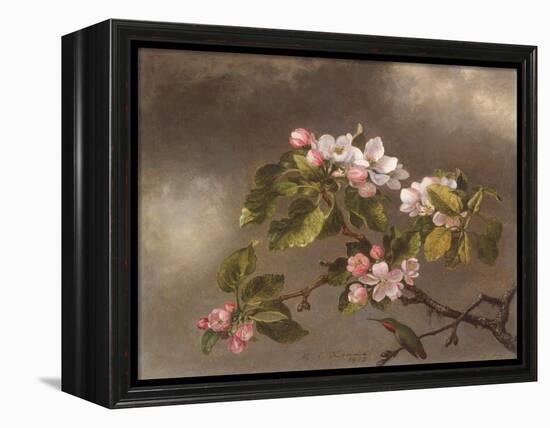 Hummingbird and Apple Blossoms, 1875-Martin Johnson Heade-Framed Premier Image Canvas