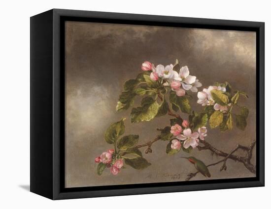 Hummingbird and Apple Blossoms, 1875-Martin Johnson Heade-Framed Premier Image Canvas