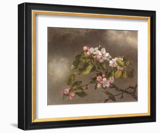 Hummingbird and Apple Blossoms, 1875-Martin Johnson Heade-Framed Giclee Print