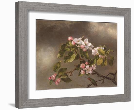 Hummingbird and Apple Blossoms, 1875-Martin Johnson Heade-Framed Giclee Print