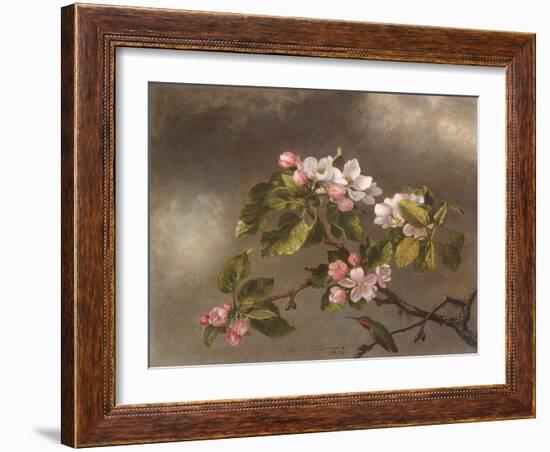 Hummingbird and Apple Blossoms, 1875-Martin Johnson Heade-Framed Giclee Print