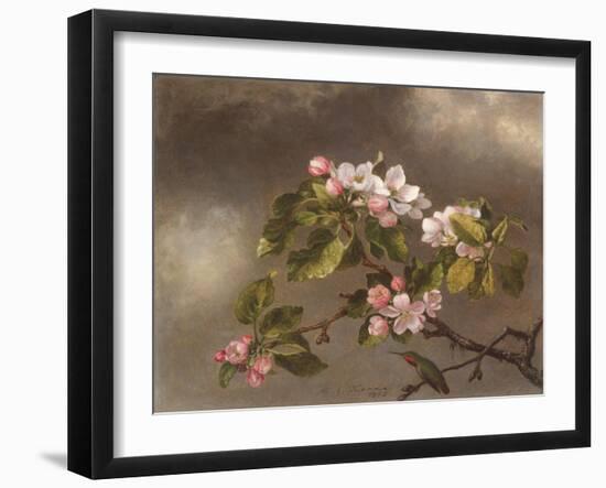 Hummingbird and Apple Blossoms, 1875-Martin Johnson Heade-Framed Giclee Print