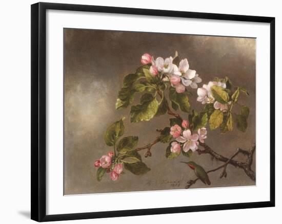 Hummingbird and Apple Blossoms-Martin Johnson Heade-Framed Art Print