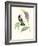 Hummingbird and Bloom II-Mulsant & Verreaux-Framed Art Print