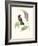 Hummingbird and Bloom II-Mulsant & Verreaux-Framed Art Print