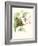 Hummingbird and Bloom III-Mulsant & Verreaux-Framed Art Print