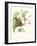 Hummingbird and Bloom III-Mulsant & Verreaux-Framed Art Print