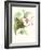 Hummingbird and Bloom III-Mulsant & Verreaux-Framed Art Print