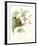 Hummingbird and Bloom III-Mulsant & Verreaux-Framed Art Print