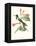 Hummingbird and Bloom IV-Mulsant-Framed Stretched Canvas