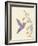 Hummingbird and flowers-Karen Williams-Framed Giclee Print