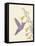 Hummingbird and flowers-Karen Williams-Framed Premier Image Canvas