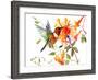 Hummingbird And Orange Flowers-Suren Nersisyan-Framed Art Print