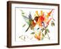 Hummingbird And Orange Flowers-Suren Nersisyan-Framed Art Print