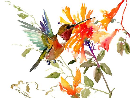 hummingbird-and-orange-flowers_u-l-f98tyb0.jpg